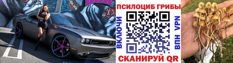 Псилоцибиновые грибы мицелий  Сланцы 